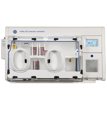 Whitley A35 Workstation